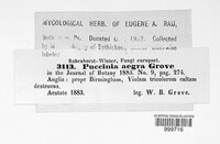 Puccinia violae image